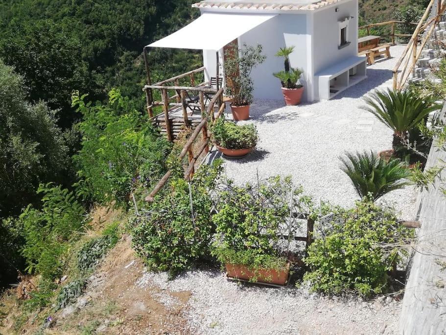 Amalfi Coast - Mini Cottage Vista Mare Con Giardino Vietri Luaran gambar